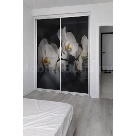 Двери-купе с фотопечатью Модель А-4